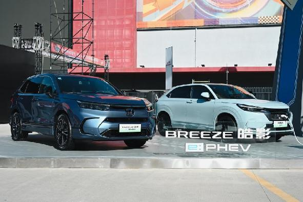 图片31.png
