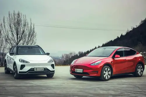纯电SUV能去野吗？越野测试极狐阿尔法T、特斯拉Model Y