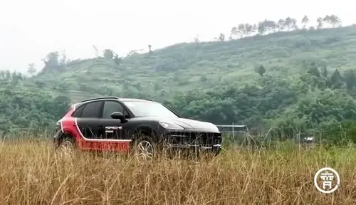 “自在”难得，源于信任太浅