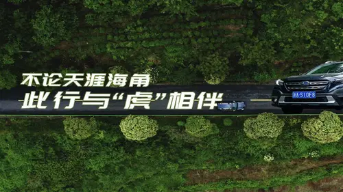 上山驾“虎”，听风宿林，斯巴鲁新一代OUTBACK傲虎“挚友行”