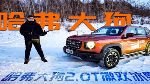2.0T发动机+四驱系统加持，哈弗大狗在冰天雪地里玩“疯”了